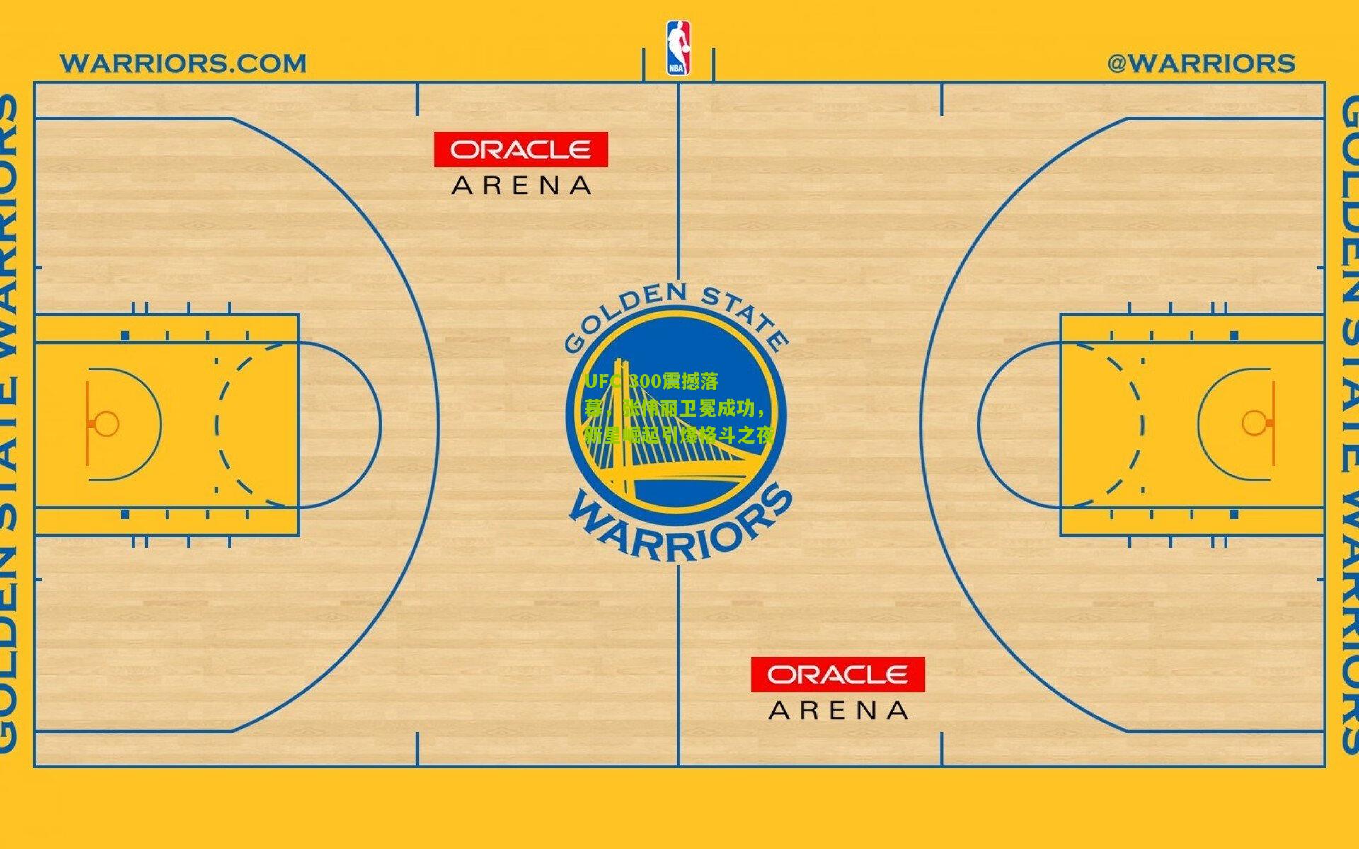 UFC 300震撼落幕，张伟丽卫冕成功，新星崛起引爆格斗之夜